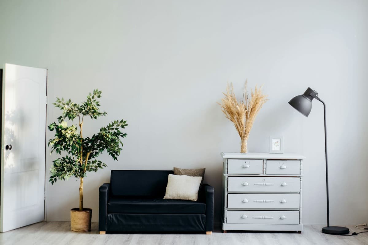 Styled living room with light gray walls, a black sofa, and a plant