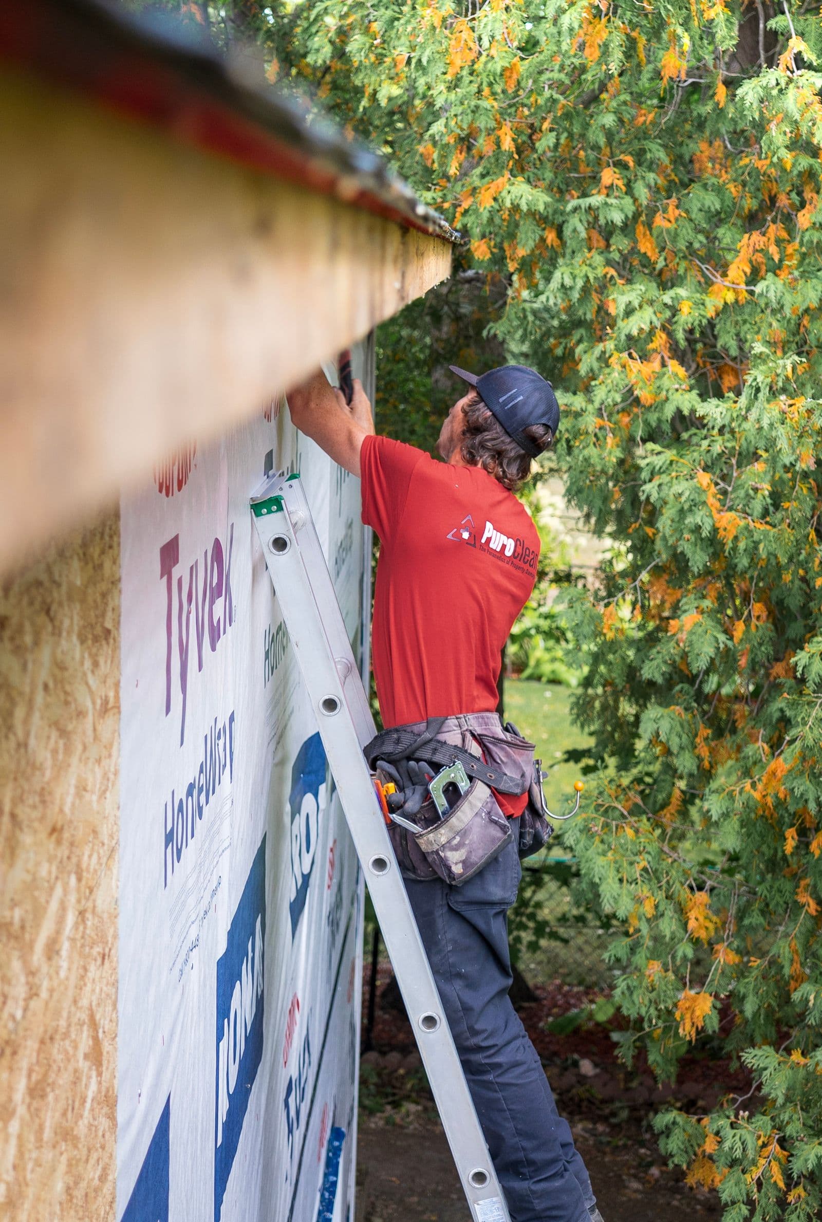 Carpenter on a ladder repairing siding